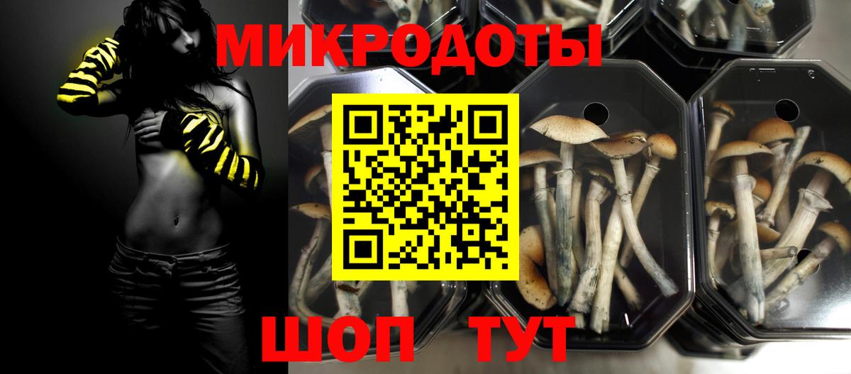 магазин продажи наркотиков  Псилоцибиновые грибы Psilocybine cubensis  Вход с VPN  Краснознаменск 