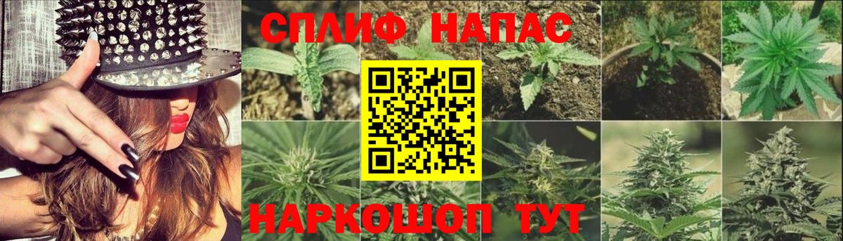 Канабис планчик  МАРИХУАНА VHQ  Шишки марихуана Ganja  Вход с VPN  Каннабис марихуана  Краснознаменск 